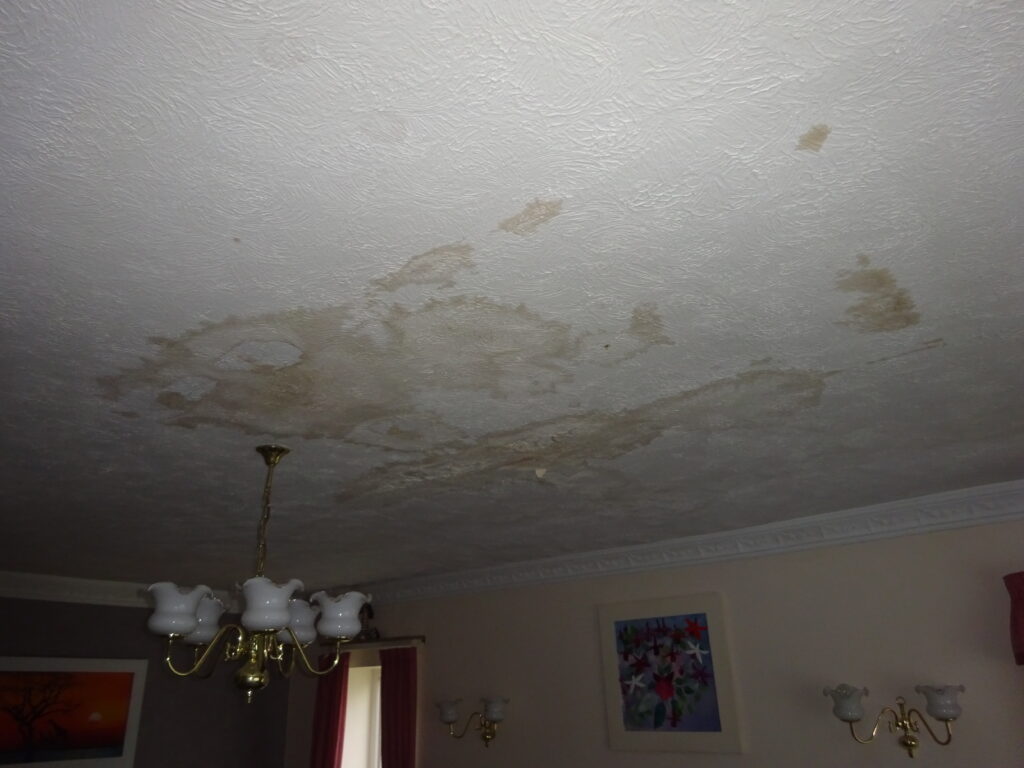 damp staining caused by a leaking cavity 