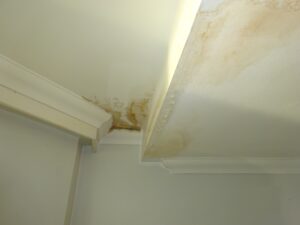 Water ingress can cause damp staining on ceilings